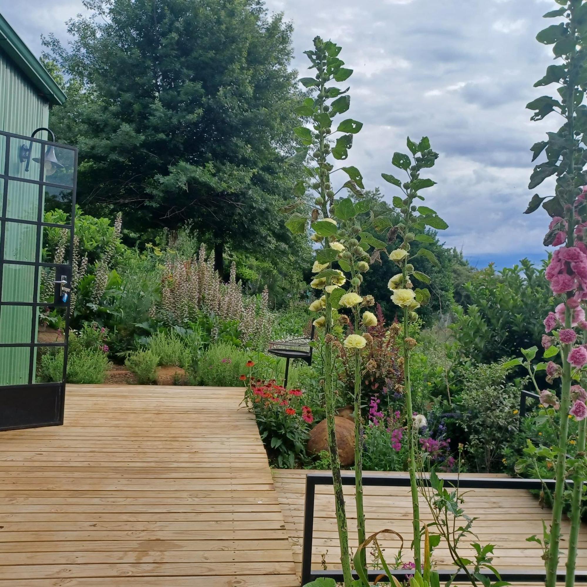 Little Fields Country House And Cottages Howick Dış mekan fotoğraf