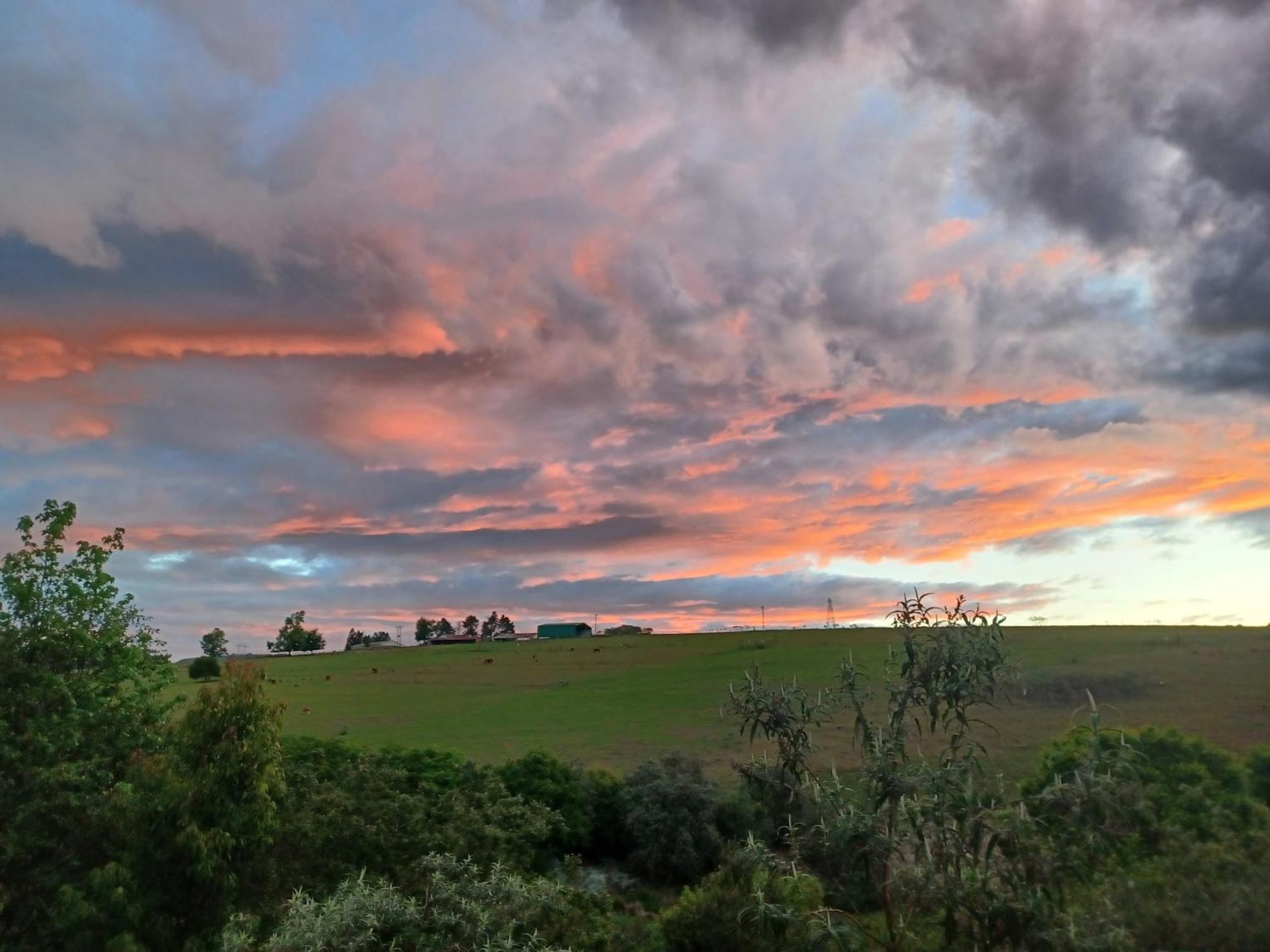 Little Fields Country House And Cottages Howick Dış mekan fotoğraf
