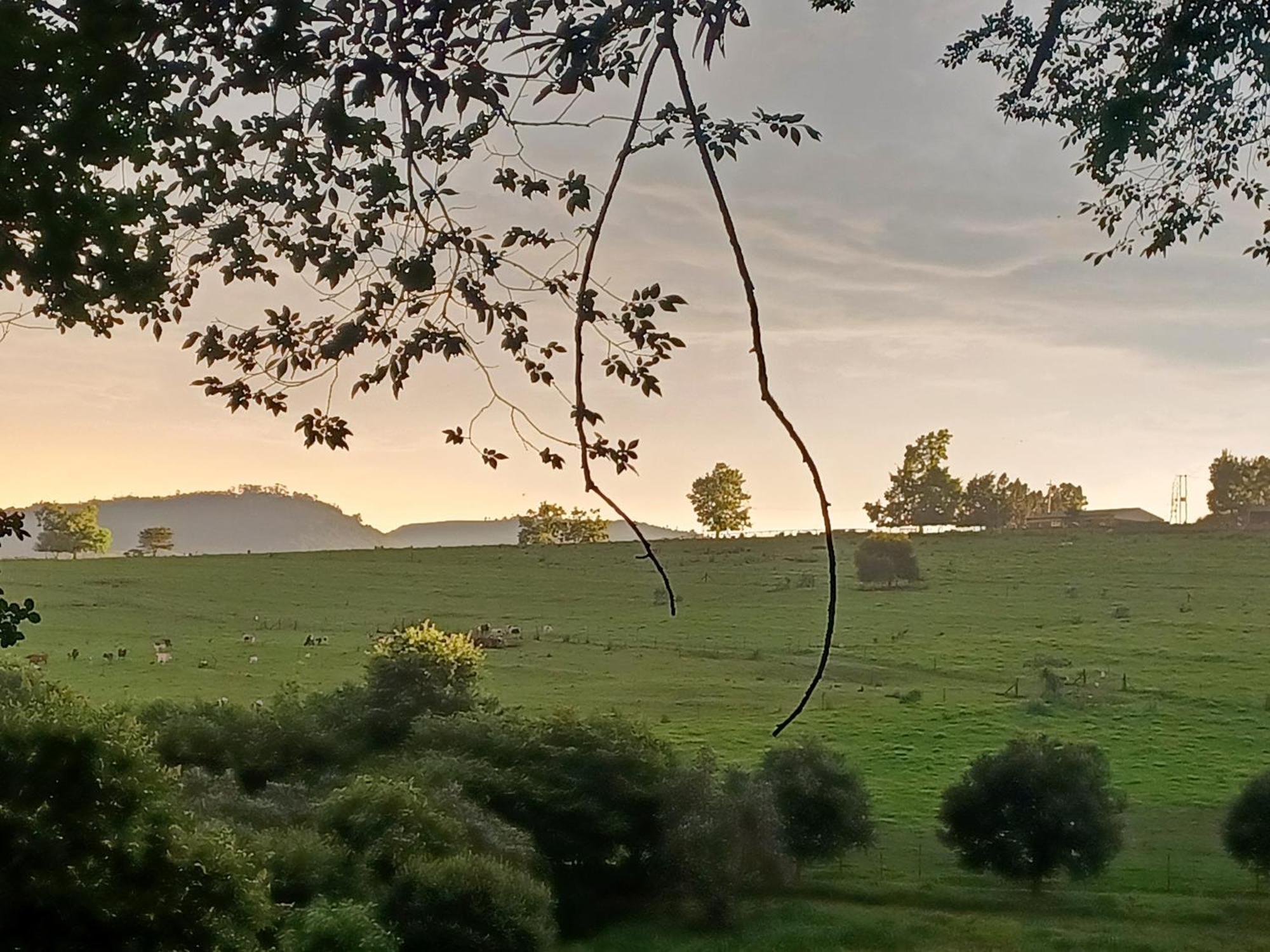 Little Fields Country House And Cottages Howick Dış mekan fotoğraf